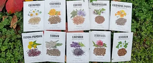  Medicinal Garden Kit Types