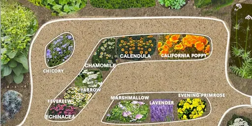  Medicinal Garden Kit Types